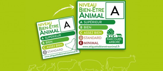 Éleveurs de volailles : un étiquetage « bien-être animal »