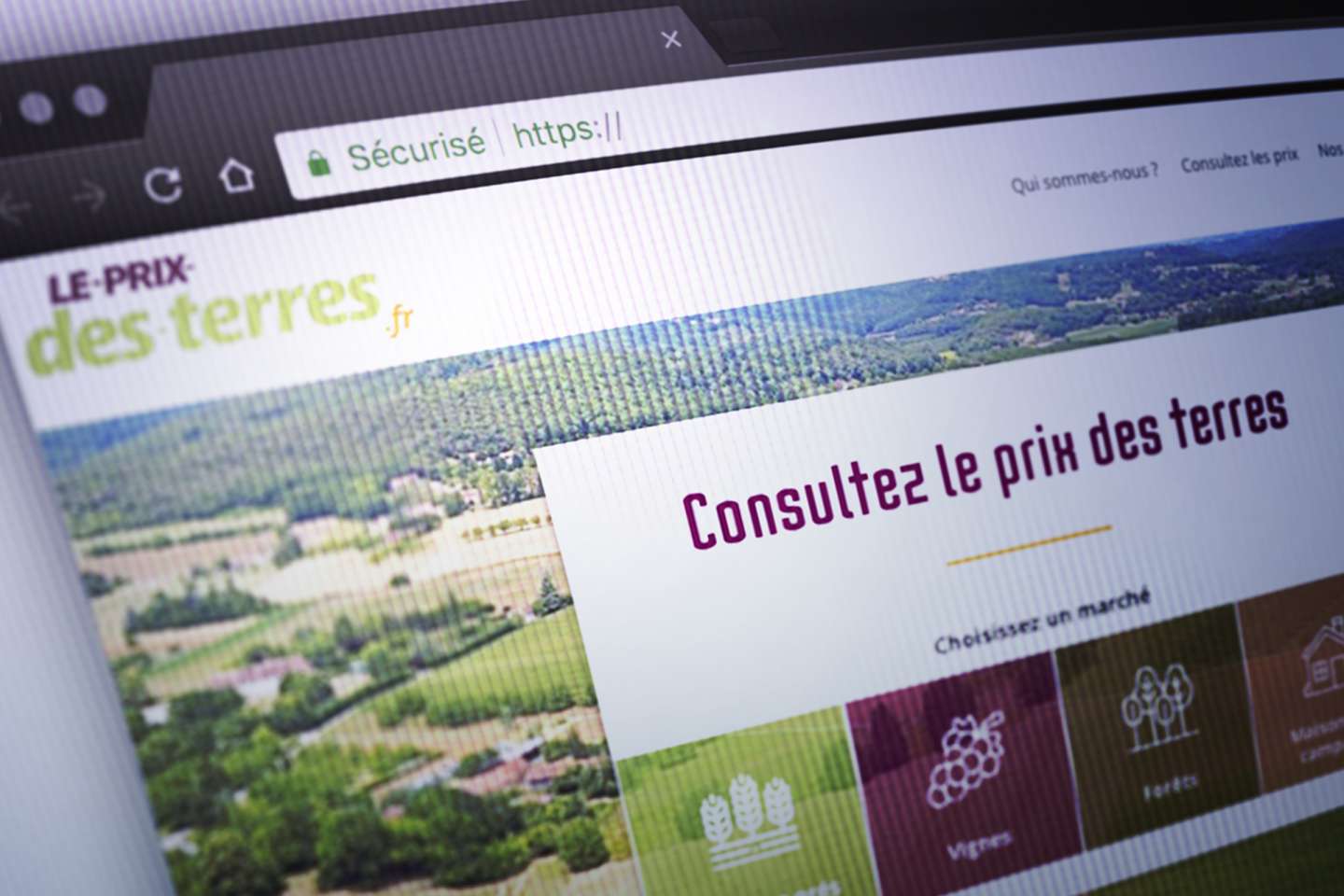 Un nouveau site internet pour connaître le prix des forêts, des vignes et des terres agricoles