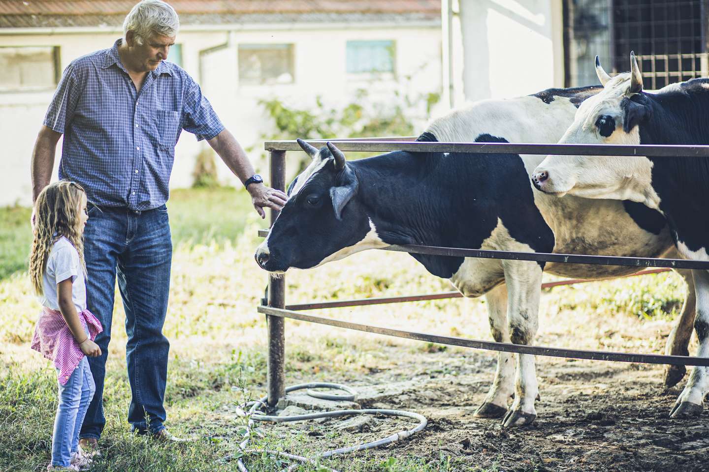 Les petites retraites agricoles revalorisées au 1 novembre !
