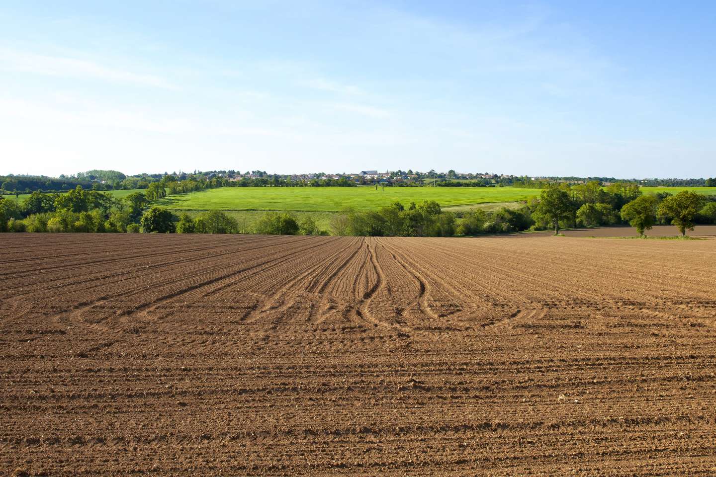 Le marché des terres agricoles en 2020