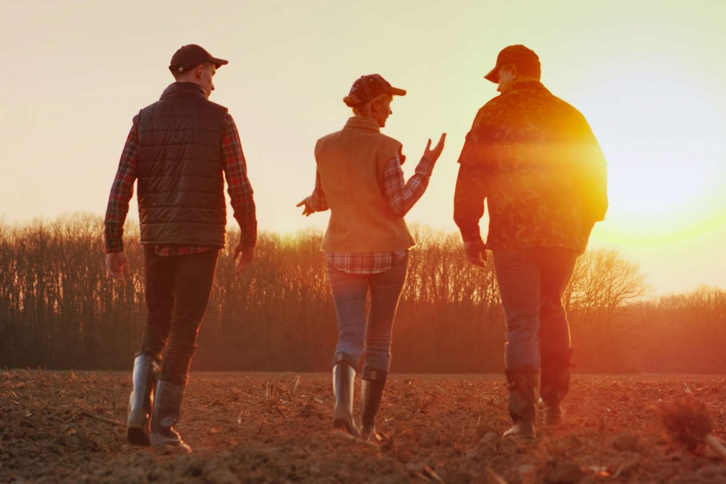 Gare au retrait anticipé d’une coopérative agricole !