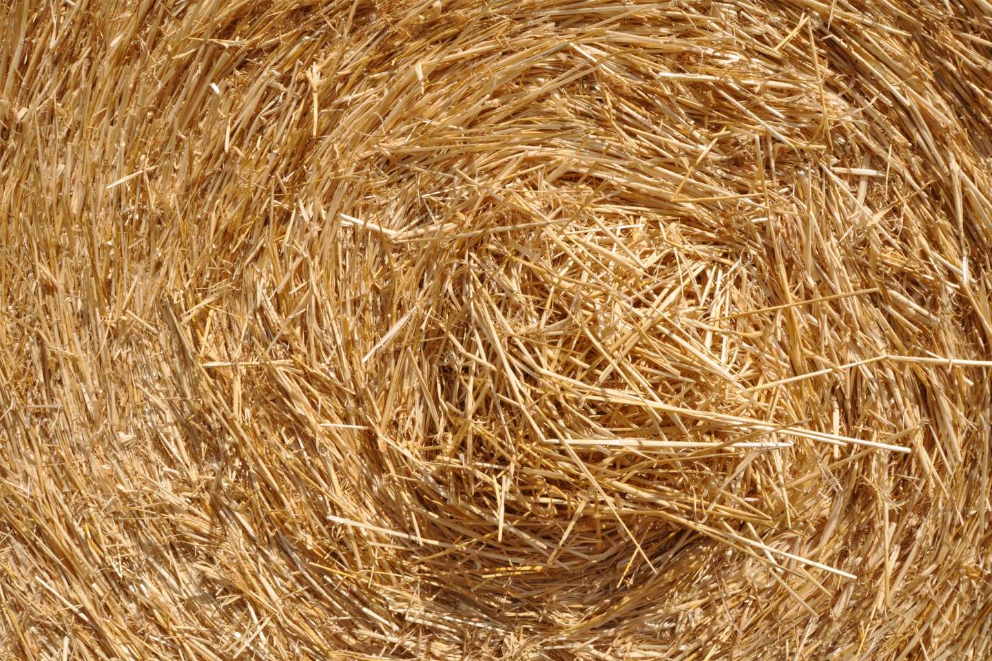 Baux ruraux : hausse du montant des fermages