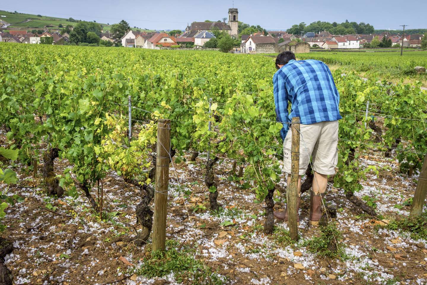 De nouvelles mesures fiscales pour les agriculteurs