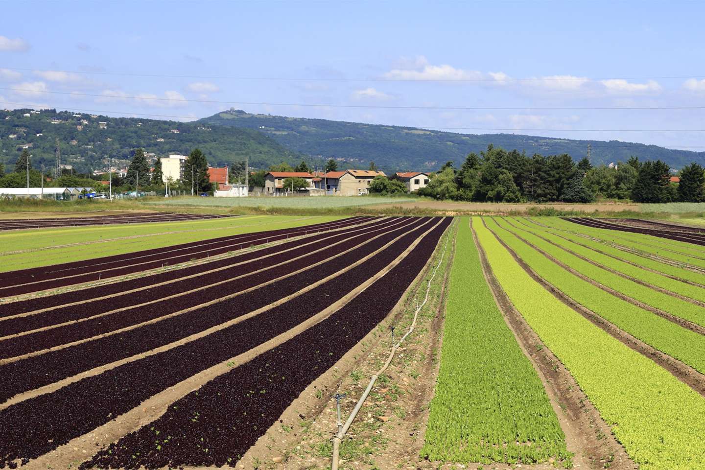 Bail rural : gare au départ de l’un des colocataires !