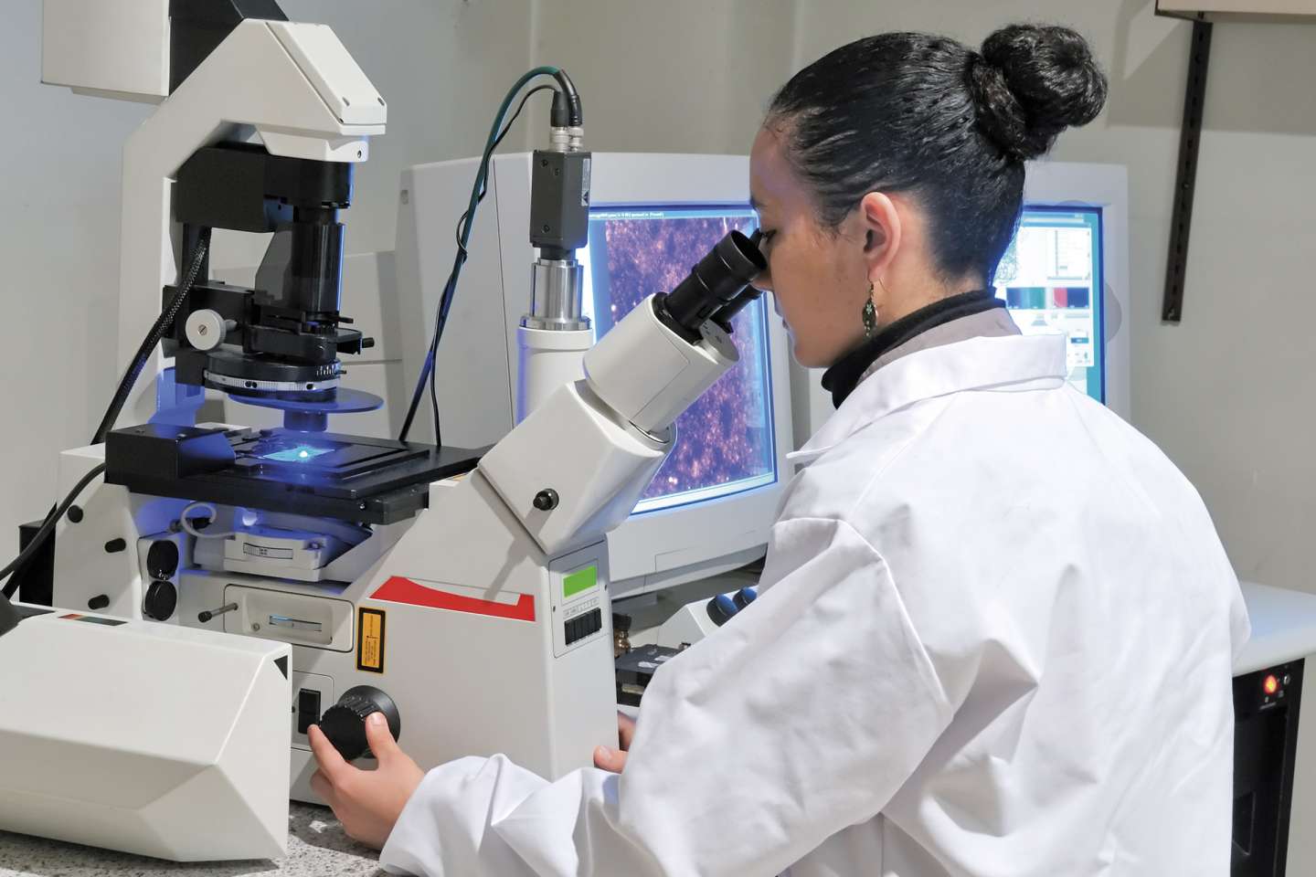 Remboursement tardif du crédit d’impôt recherche et versement d’intérêts moratoires