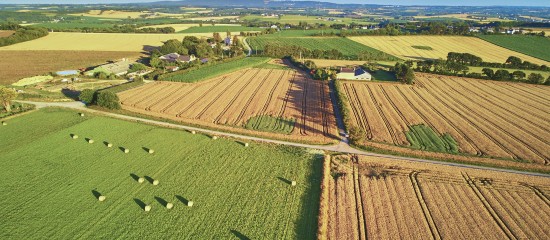 Le marché des terres agricoles en 2021