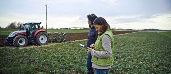 Acquisition de parcelles agricoles par substitution aux droits d’une Safer : du nouveau !