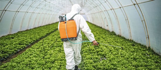 Exploitants agricoles : prolongation d’un an des certiphytos arrivant à échéance
