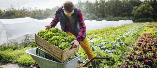 Prorogation de deux crédits d’impôt spécifiques aux exploitants agricoles