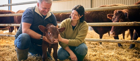 Renforcement de l’exonération partielle des transmissions de biens ruraux