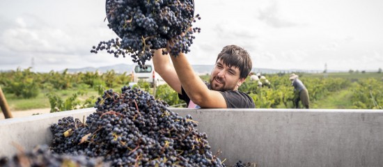 Travail saisonnier : les règles du jeu