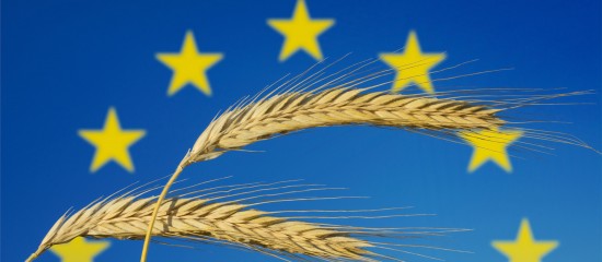 Exploitants agricoles : plus que quelques jours pour déposer votre déclaration Pac