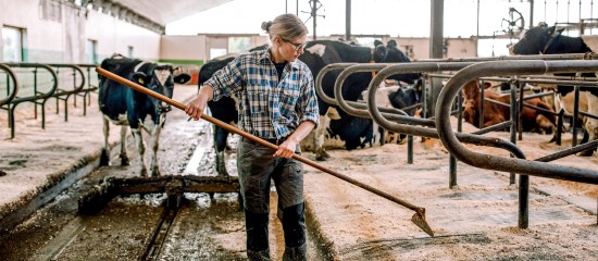 Option des exploitants agricoles pour une assiette annuelle de leurs cotisations sociales