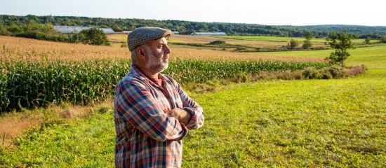 Décès d’un exploitant agricole : option pour l’assiette forfaitaire de cotisations