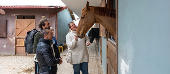 L’exploitant d’un centre équestre qui fait construire un manège est-il un consommateur ?