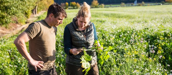 Décès d’un exploitant agricole : à qui est attribué le bail rural ?