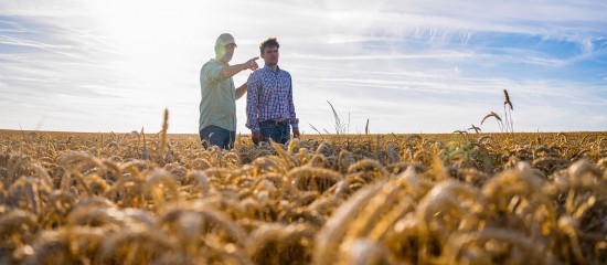 À quel moment peut-on insérer une clause de reprise sexennale dans un bail rural ?