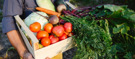 Exercice d’une activité commerciale accessoire par une société agricole : du nouveau !