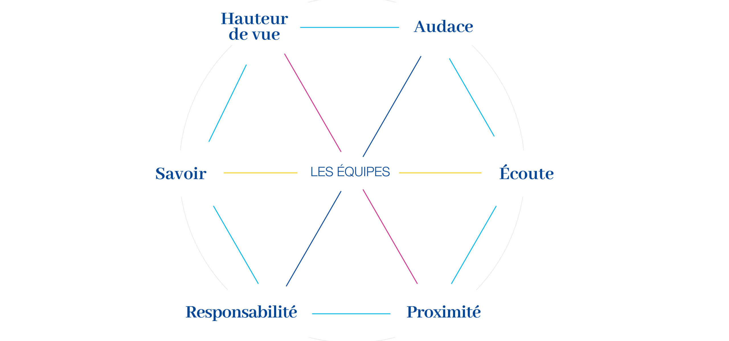 schema equipes